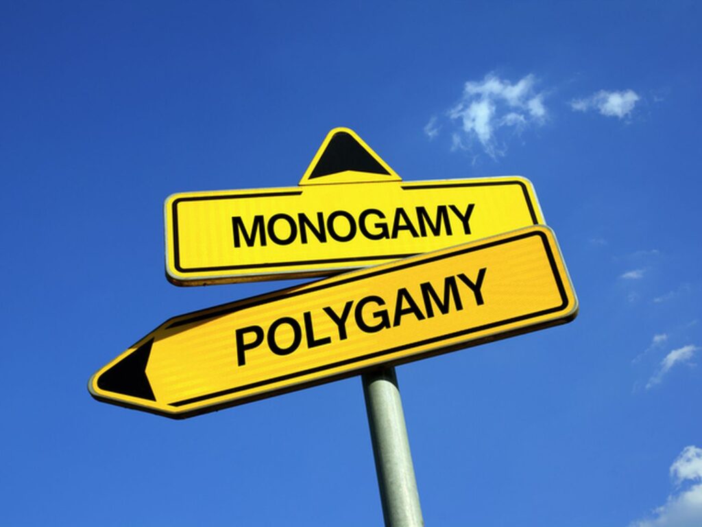 Polyamory and Monogamy