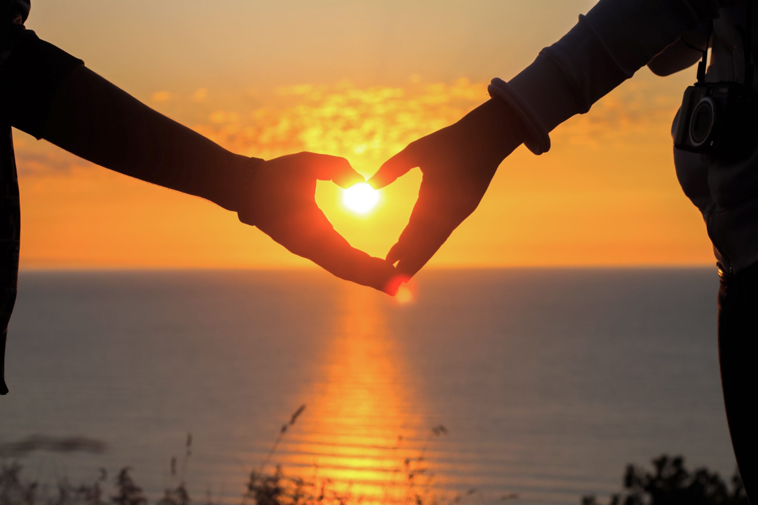 The Neuroscience of Love