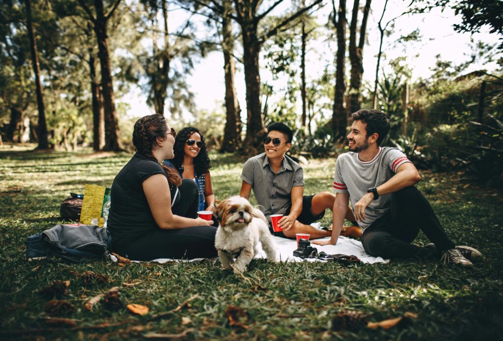 Group of People Sitting on White Mat on Grass Field
