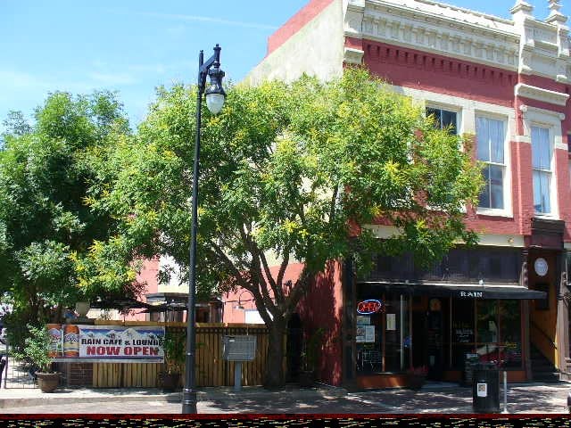 Rain Caf&eacute; and Lounge