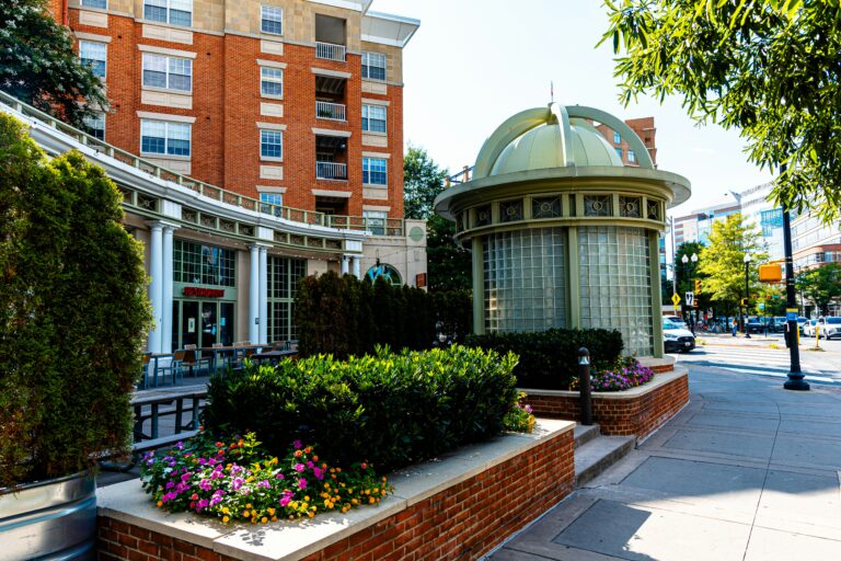 Poly Friendly Cities: Exploring Polyamory in Arlington, VA